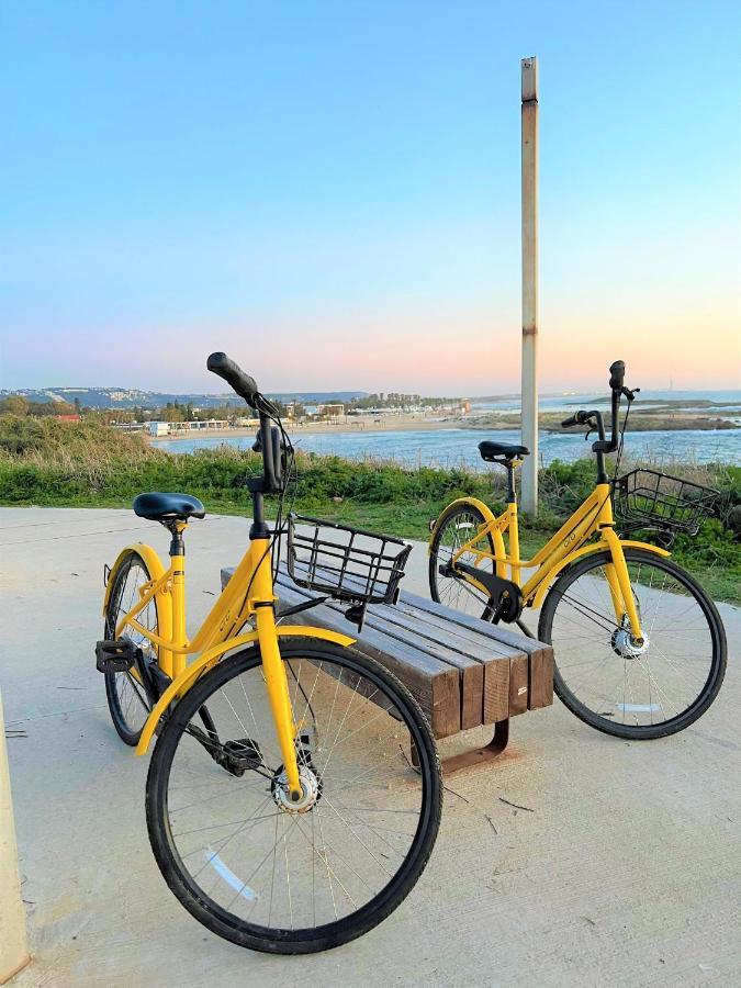 Nachsholim Kibbutz Country Lodging Nahsholim ภายนอก รูปภาพ