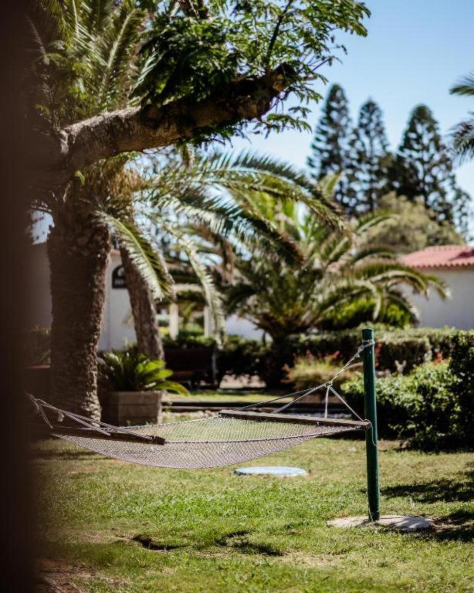 Nachsholim Kibbutz Country Lodging Nahsholim ภายนอก รูปภาพ